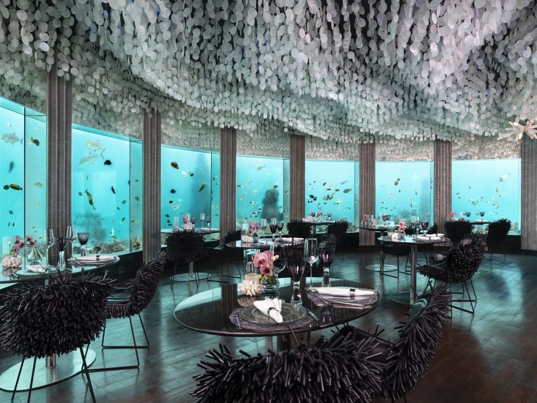underwater dining